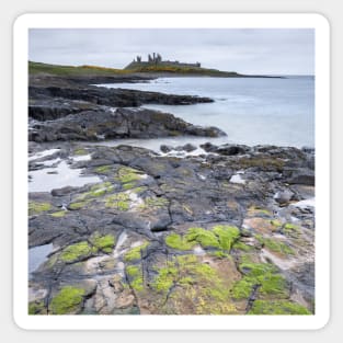 Dunstanburgh / Cushat Stiel Sticker